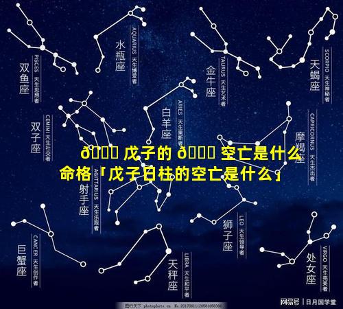 🕊 戊子的 🐅 空亡是什么命格「戊子日柱的空亡是什么」